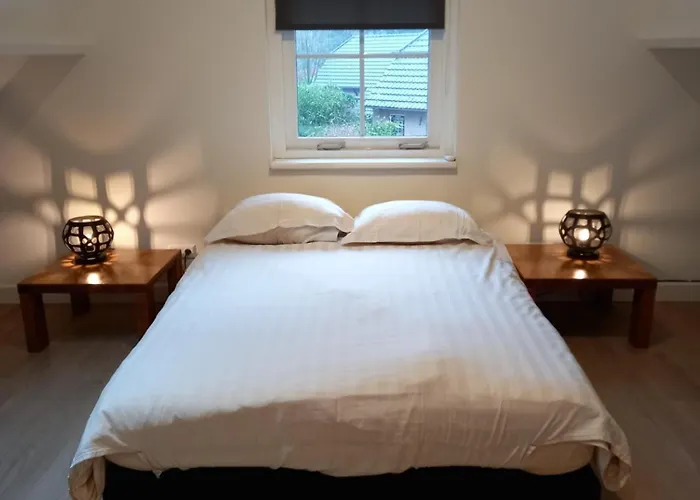 Met Sauna En Jacuzzie Vakantiehuis